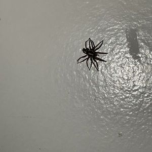 Meet your Posher, Yeonguk